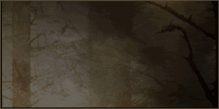 Downloads has never been easier