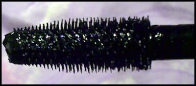maxfactorfalselasheseffect3