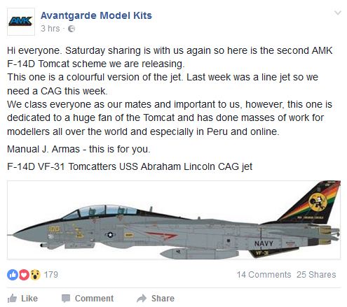 Tomcat.jpg