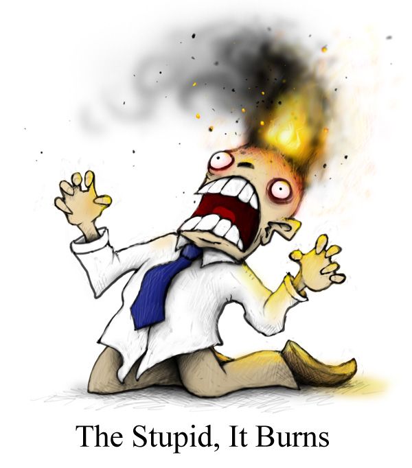 The Stupid, It Burns photo thestupiditburns.jpg