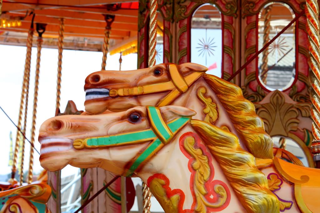 IMAGE: http://i561.photobucket.com/albums/ss56/Landyman110/horse.jpg