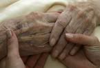 Elderly Hands Pictures, Images and Photos