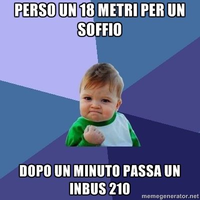 inbus210wins.jpg