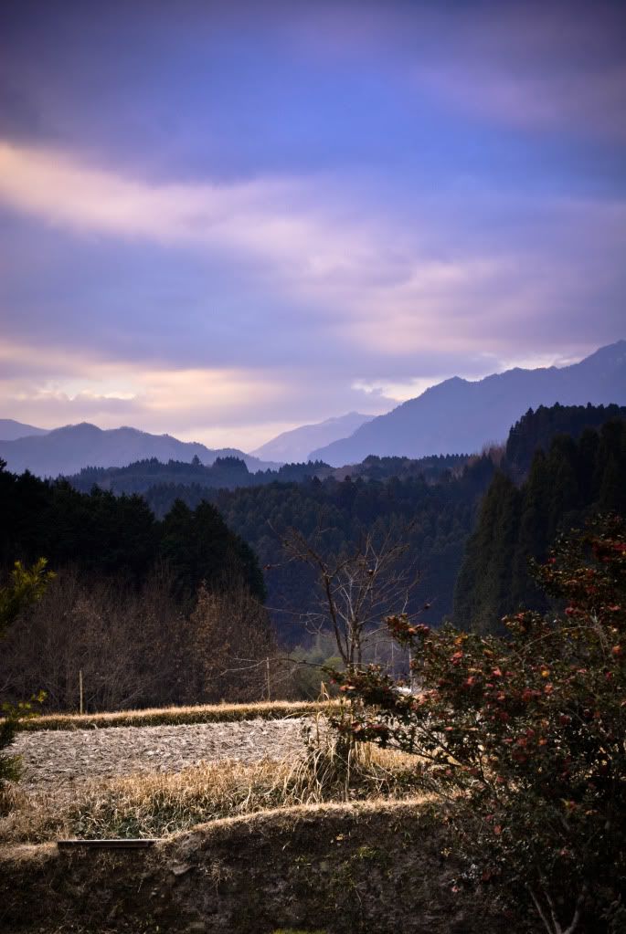 oita_25.jpg