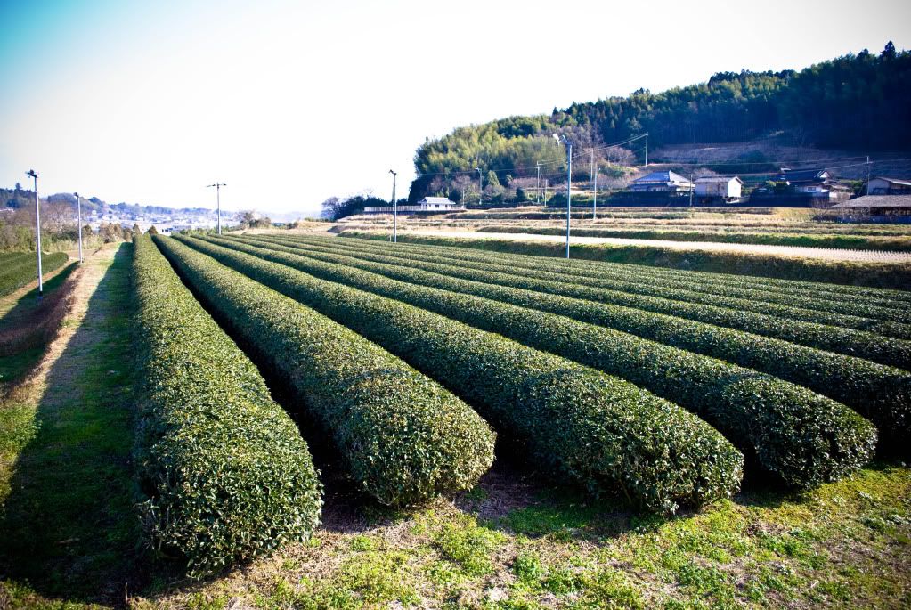 oita_38.jpg