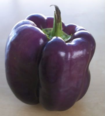 Purple Pepper