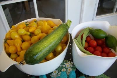 Daily harvest - June 2011