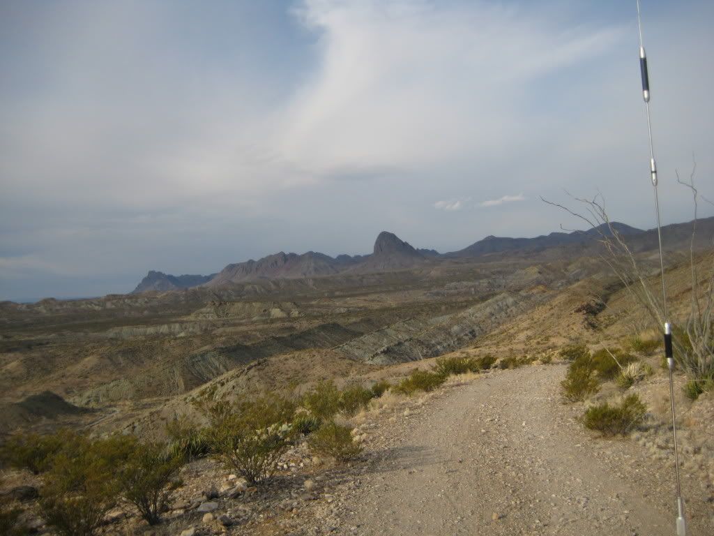 IMG_4253.jpg