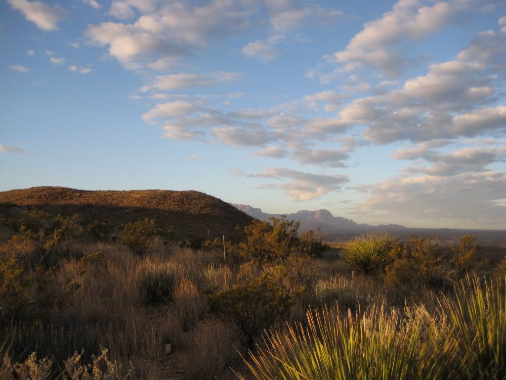 IMG_4321.jpg