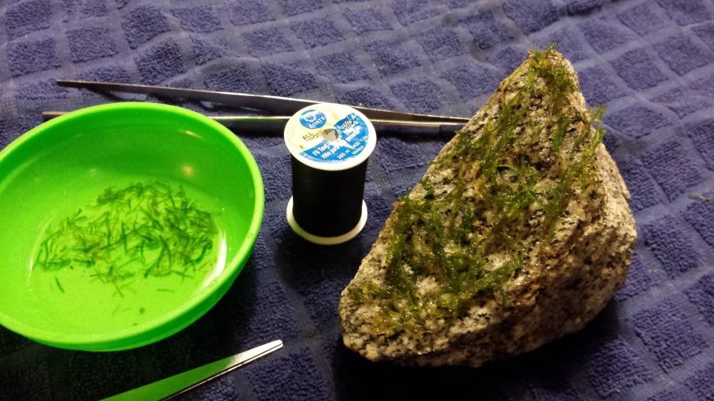 20131027_202216_zps22121746.jpg