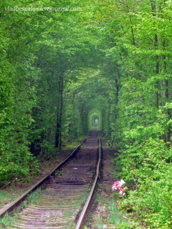 Love tunnel, Klevan photo 2013-05-0441A043B043504320430043D044C01_zps38669345.jpg