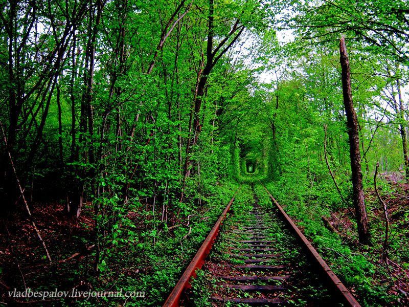 Love tunnel, Klevan photo 2013-05-0441A043B043504320430043D044C081_zpsd508a864.jpg