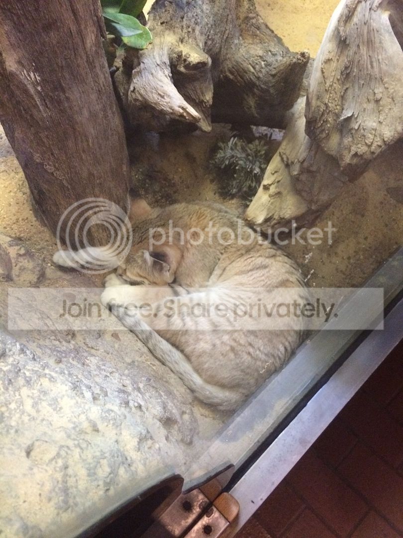  photo IMG_3021_zps1ryzaogm.jpg