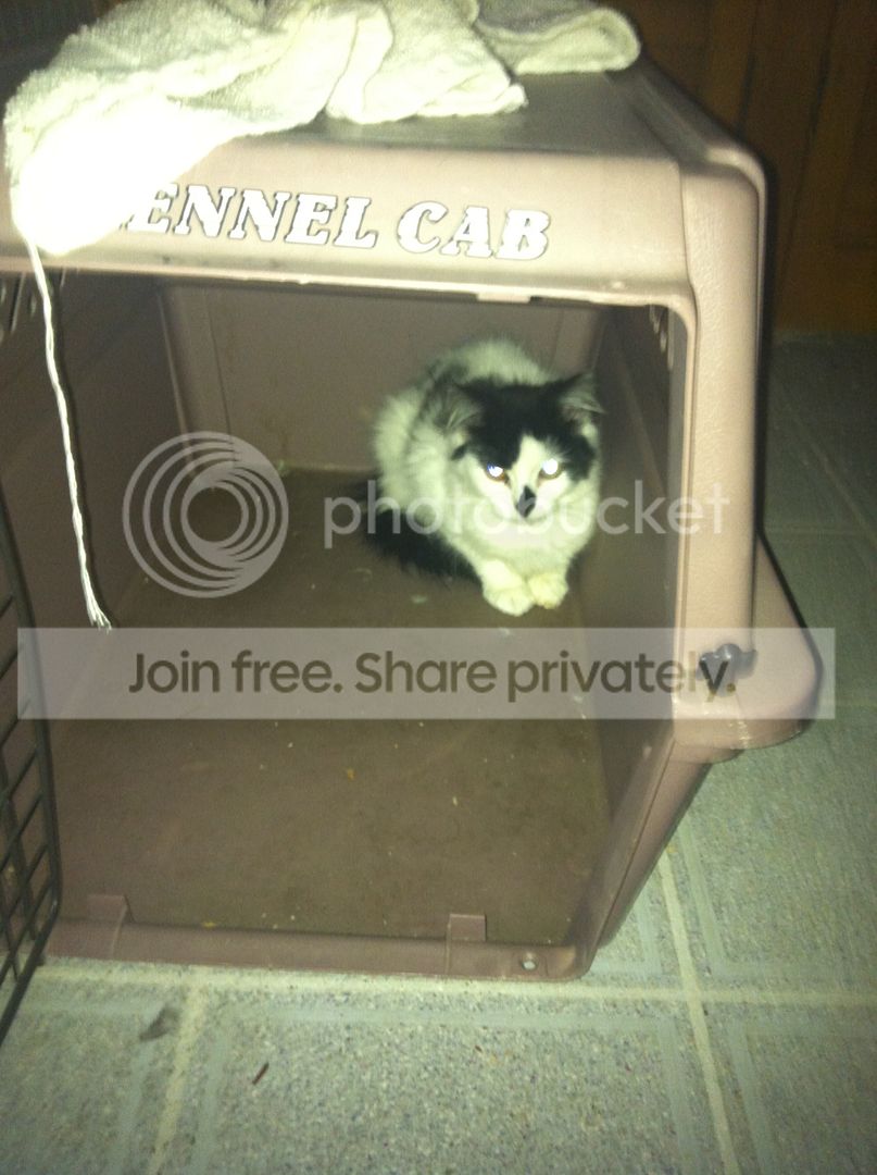  photo IMG_3497_zps8000823b.jpg