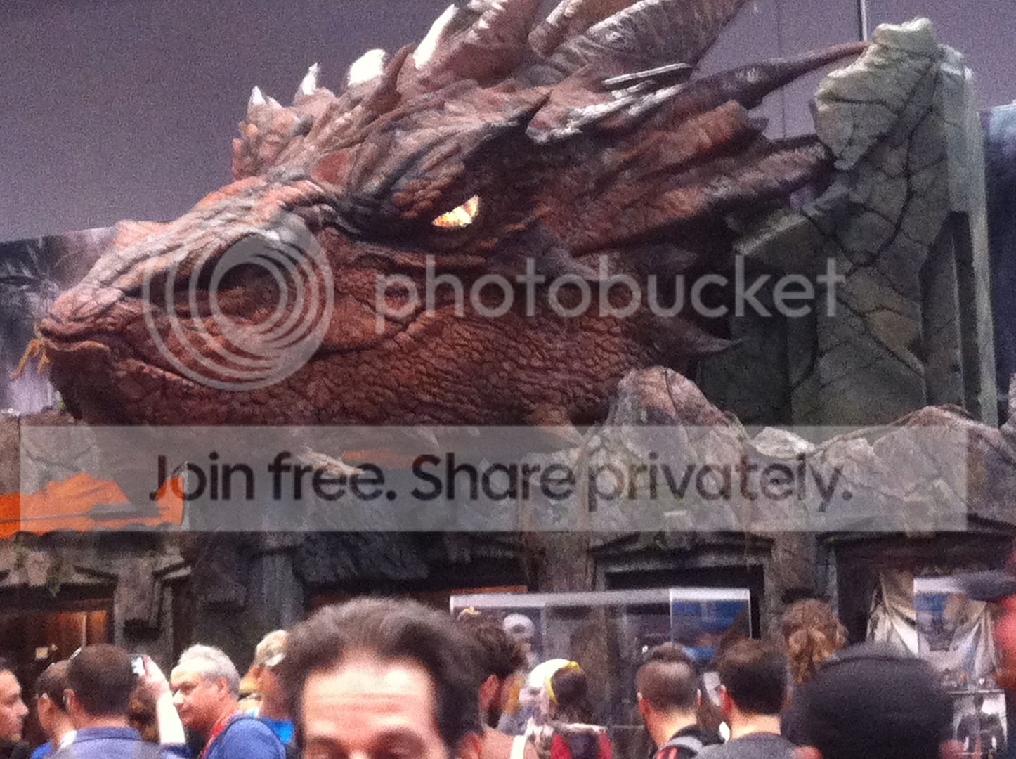  photo IMG_3518_zps106c0cbd.jpg